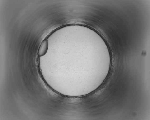 X0000112920893200910051105