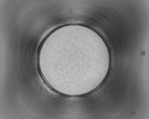 X0000112920894200910051105