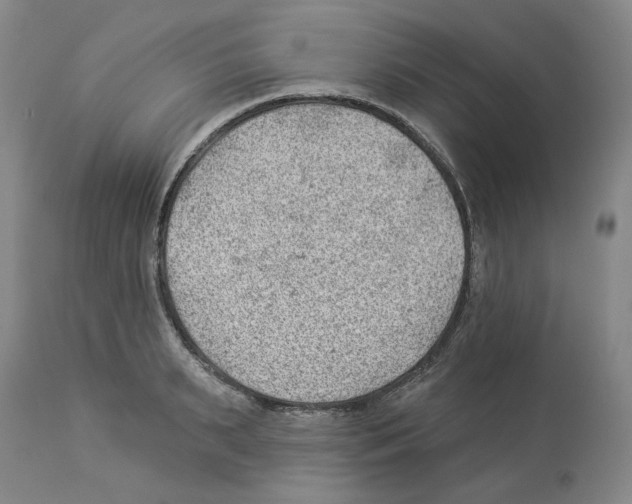 X0000112920895200910051105
