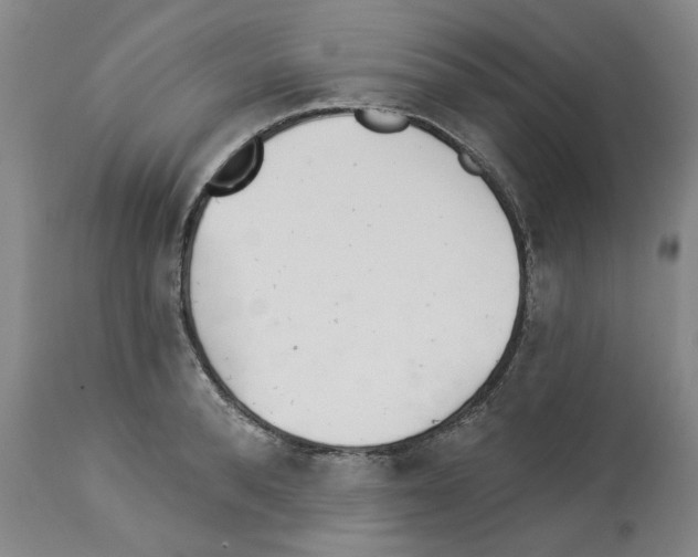 X0000112920896200910051105