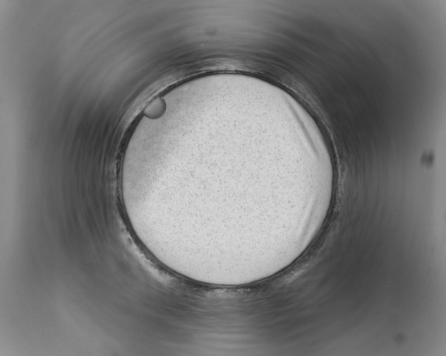 X0000112920898200910051105