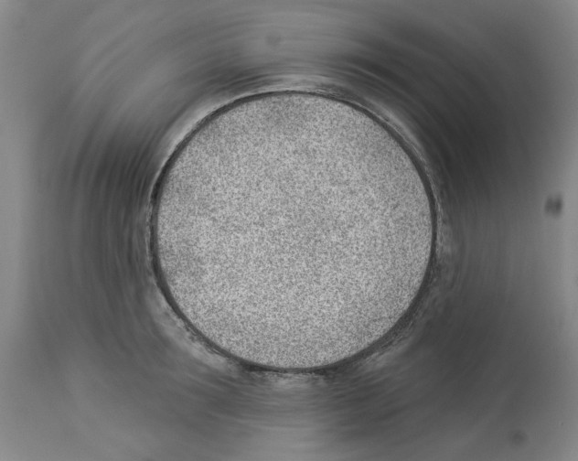 X0000112920899200910051105