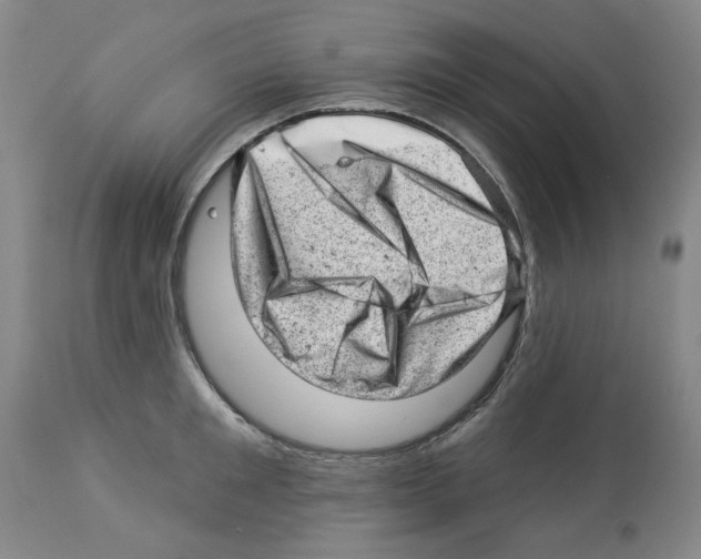 X0000112920901200910051105