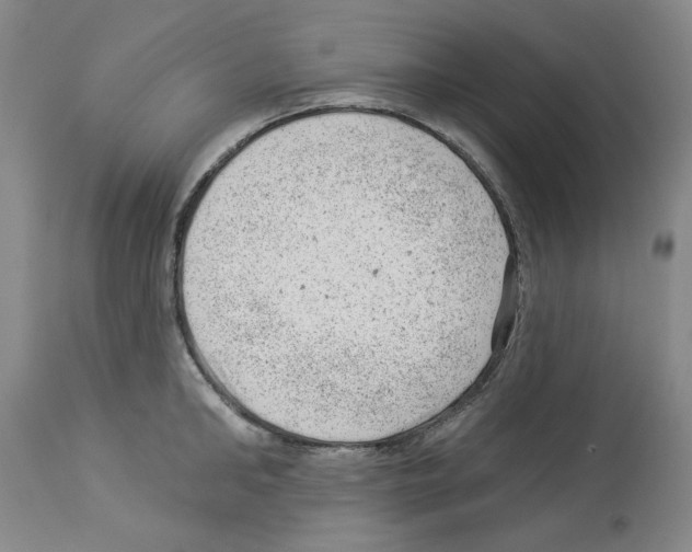 X0000112920902200910051105