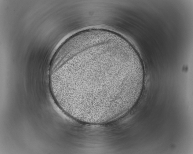 X0000112920903200910051105