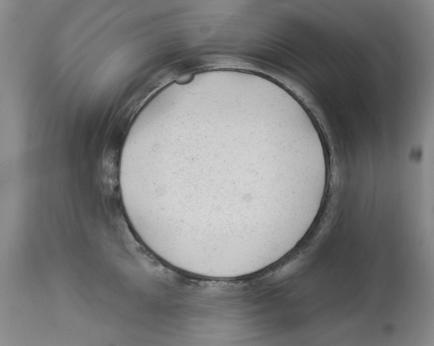 X0000112920905200910051105