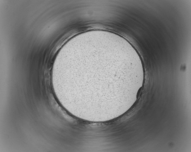 X0000112920906200910051105