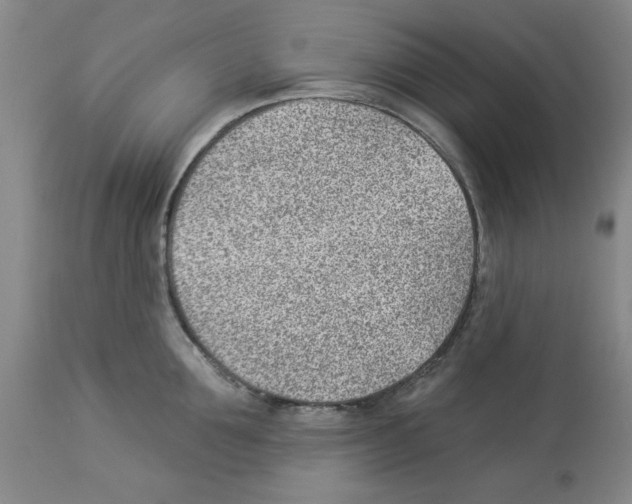 X0000112920907200910051105