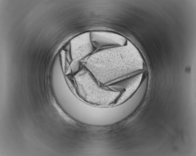 X0000112920909200910051105