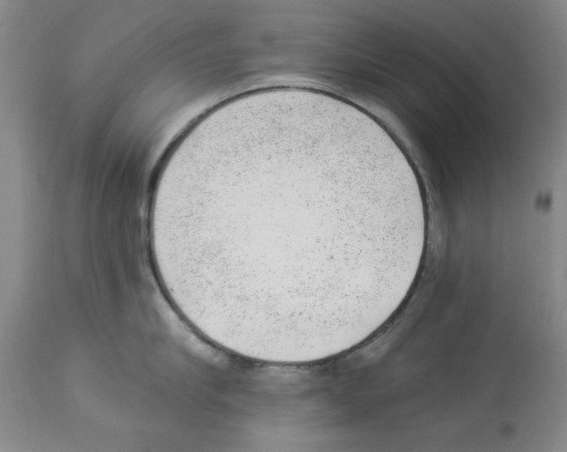 X0000112920910200910051105