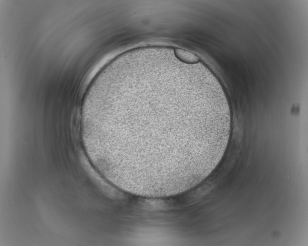 X0000112920911200910051105