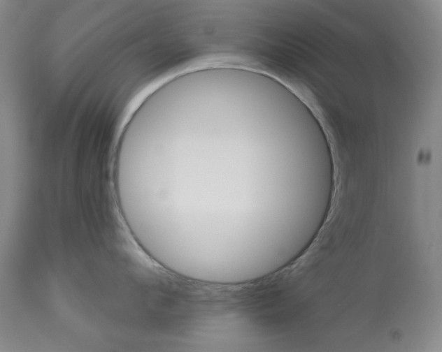 X0000112920912200910051105