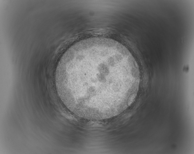 X0000112920913200910051104