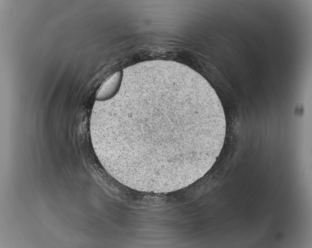 X0000112920914200910051104