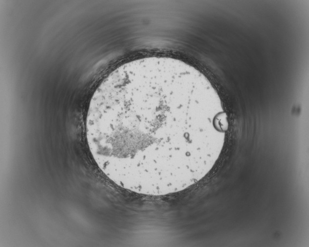X0000112920918200910051104
