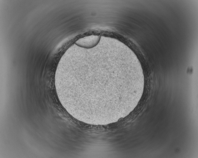 X0000112920919200910051104