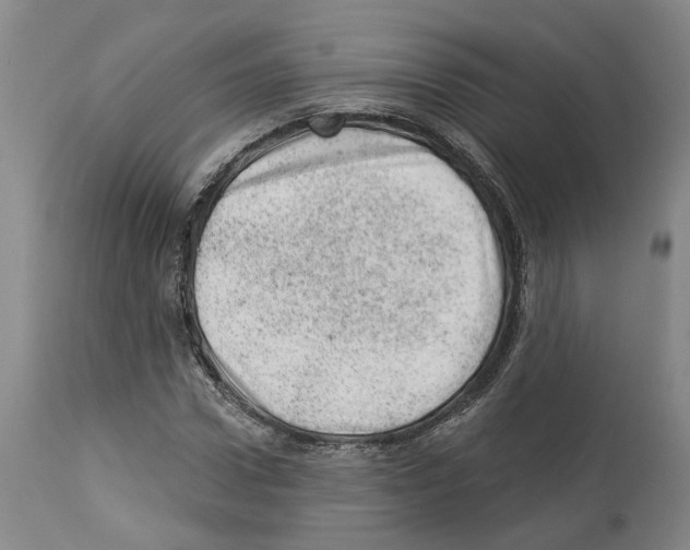 X0000112920922200910051104