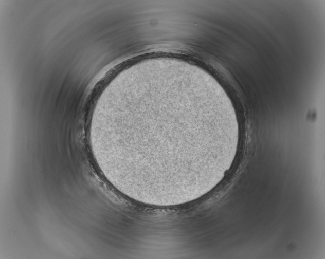 X0000112920923200910051104