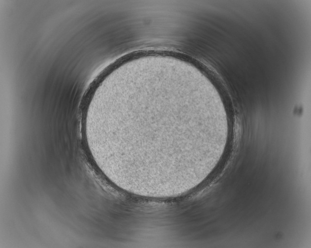 X0000112920925200910051104