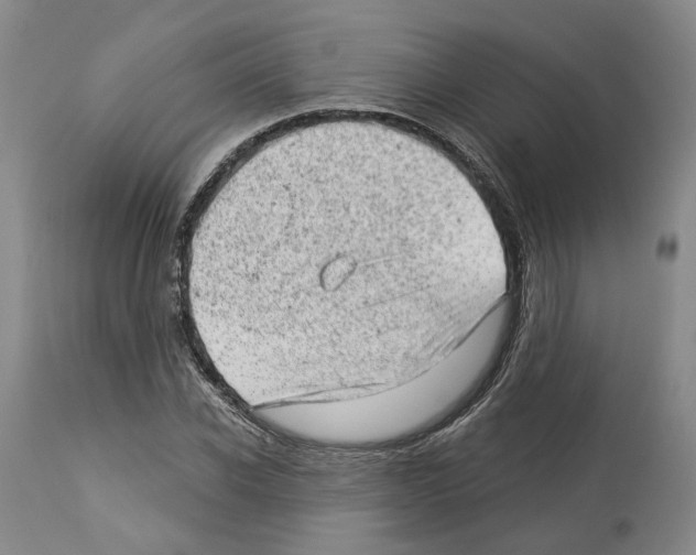 X0000112920926200910051104