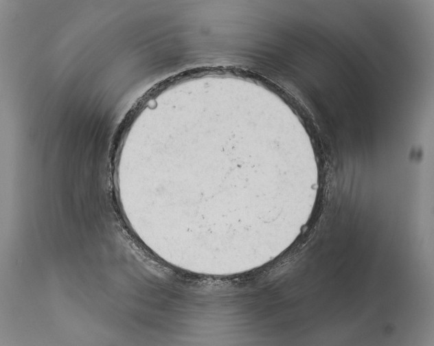 X0000112920927200910051104