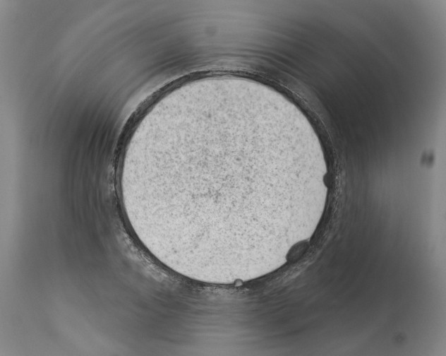 X0000112920928200910051104