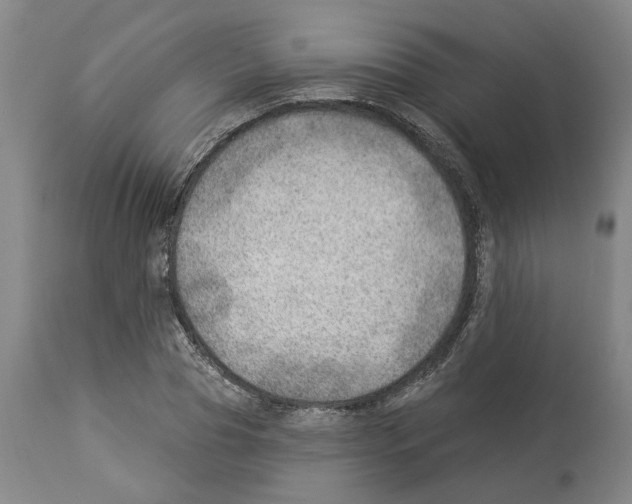 X0000112920929200910051104