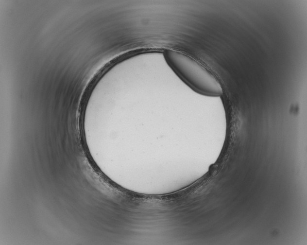 X0000112920932200910051104