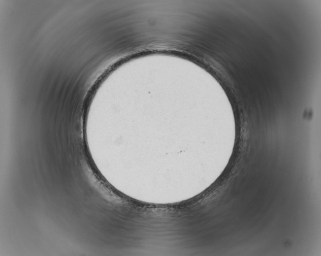 X0000112920934200910051104