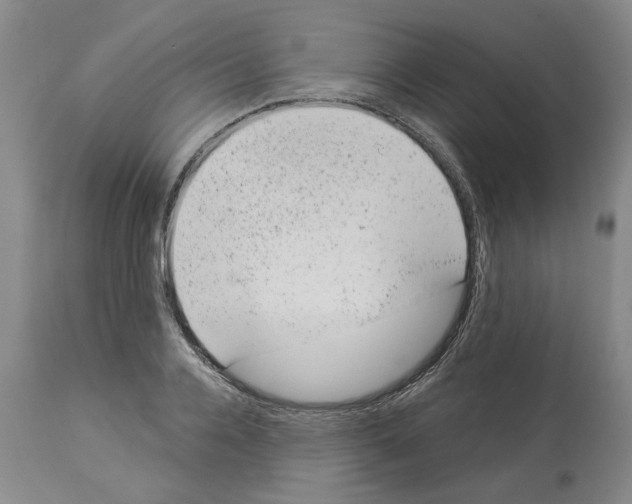 X0000112920936200910051104