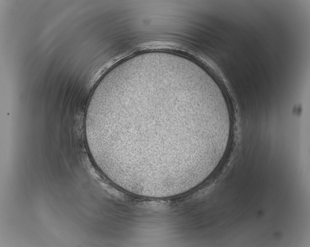 X0000112920937200910051104