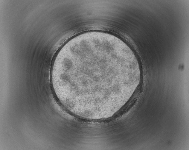 X0000112920938200910051104