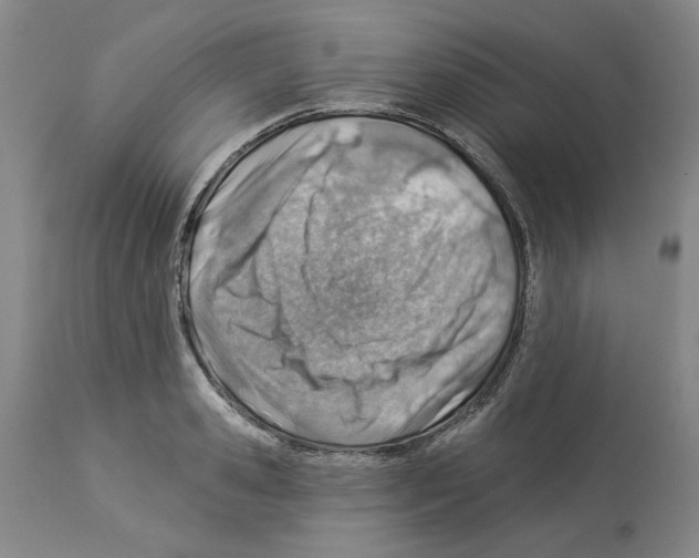 X0000112920941200910051104