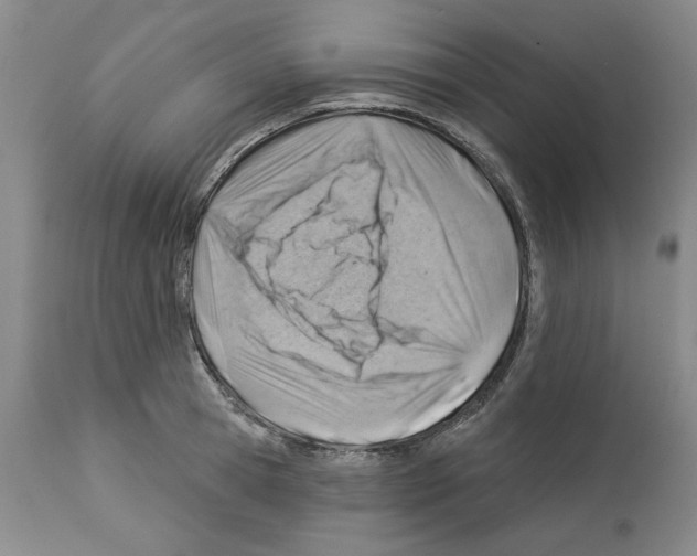 X0000112920945200910051104