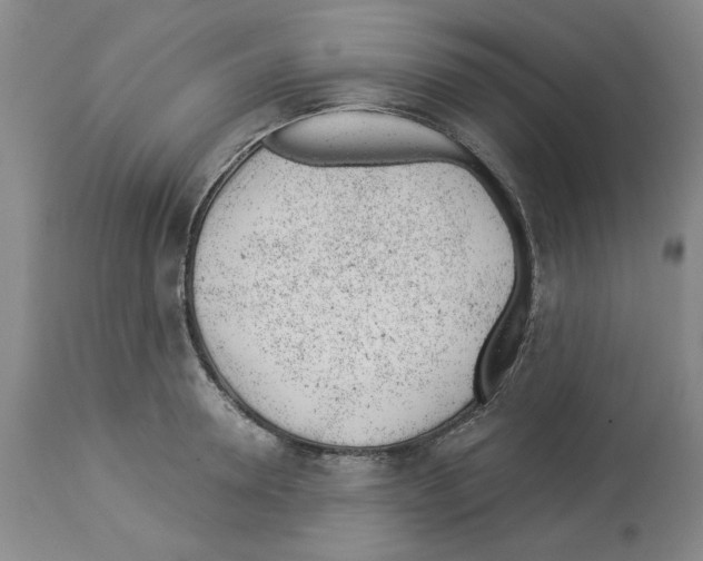 X0000112920946200910051104