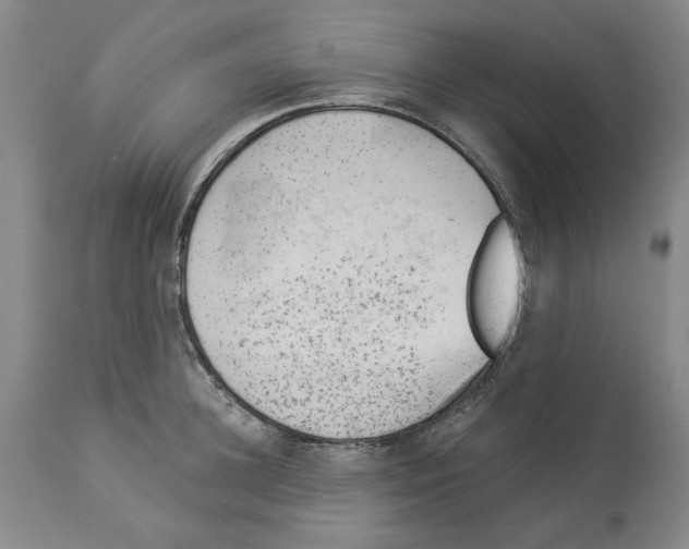 X0000112920948200910051104