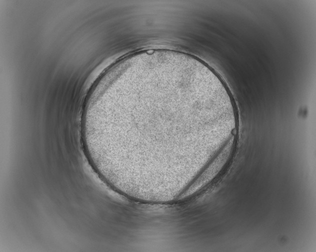 X0000112920949200910051104
