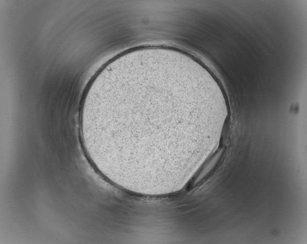 X0000112920951200910051104