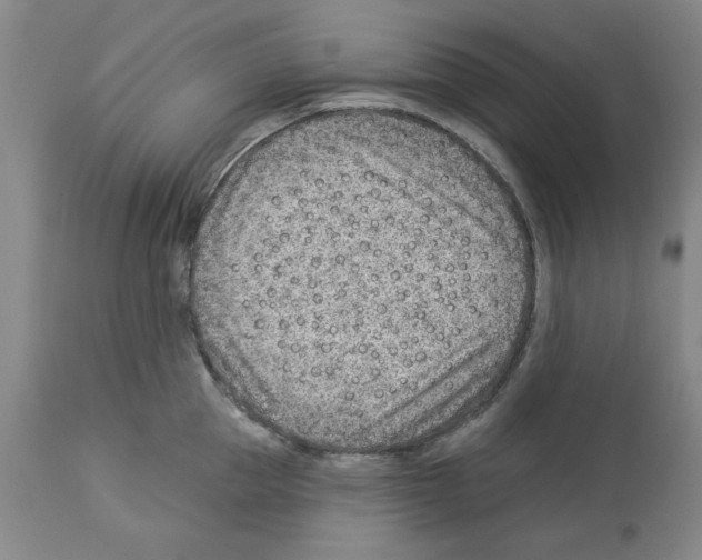 X0000112920953200910051105