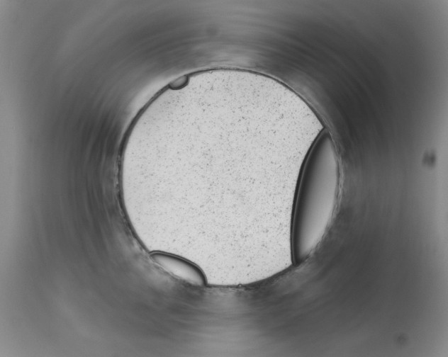 X0000112920956200910051105
