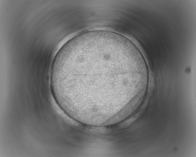 X0000112920957200910051105