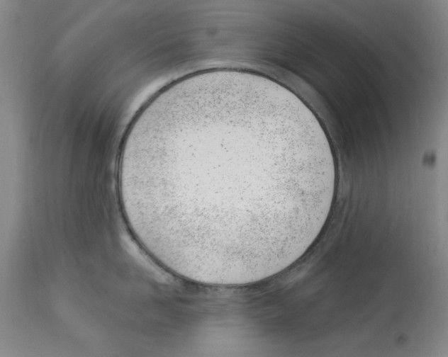 X0000112920958200910051105
