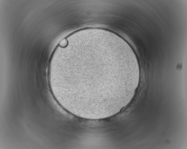 X0000112920959200910051105