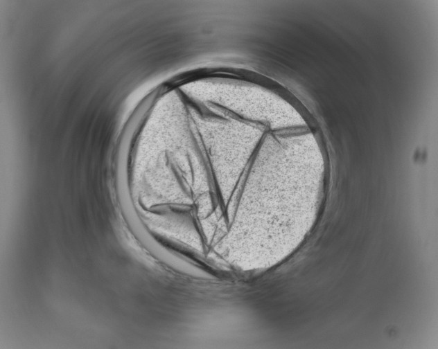 X0000112920960200910051105