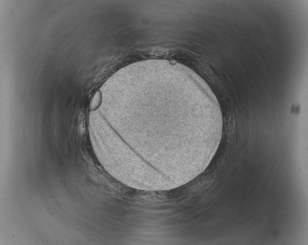 X0000112920962200910051104