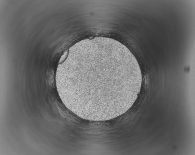 X0000112920963200910051104