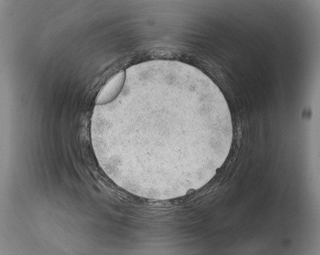 X0000112920964200910051104