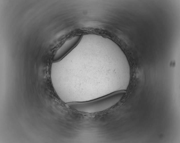 X0000112920965200910051104