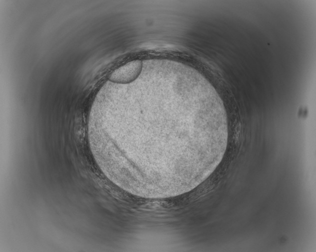 X0000112920966200910051104