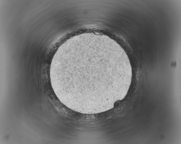 X0000112920968200910051104